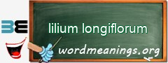 WordMeaning blackboard for lilium longiflorum